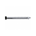 Black Speedekz - 304 Stainless Steel - 10g - Torx 20