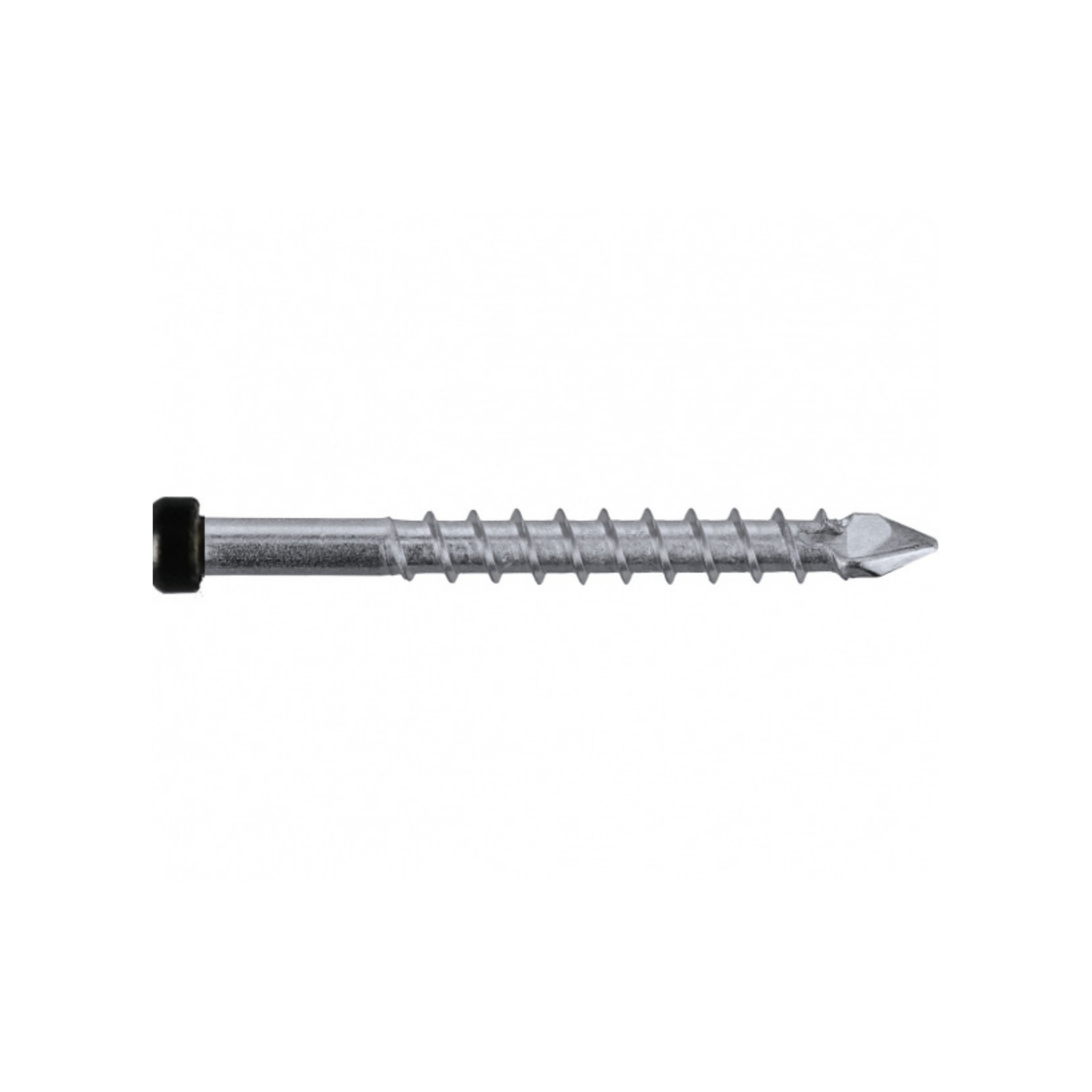 Black Speedekz - 304 Stainless Steel - 10g - Torx 20