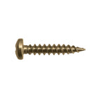 Needle Point Pan Head - Zinc (Various Sizes)